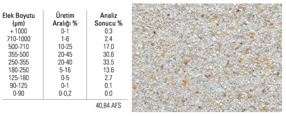 ASF 38-42 Beyaz